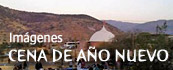 fin2011